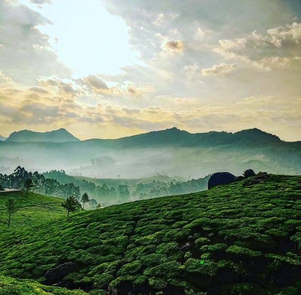 Family laughing together